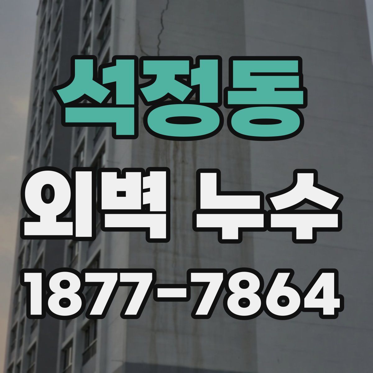 석정동 외벽 누수