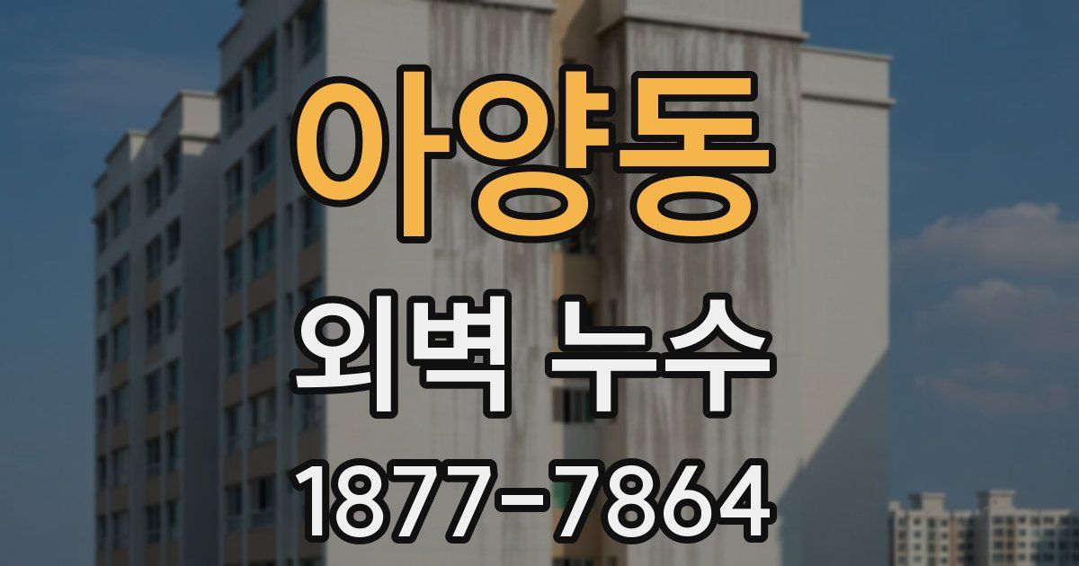 아양동 외벽 누수