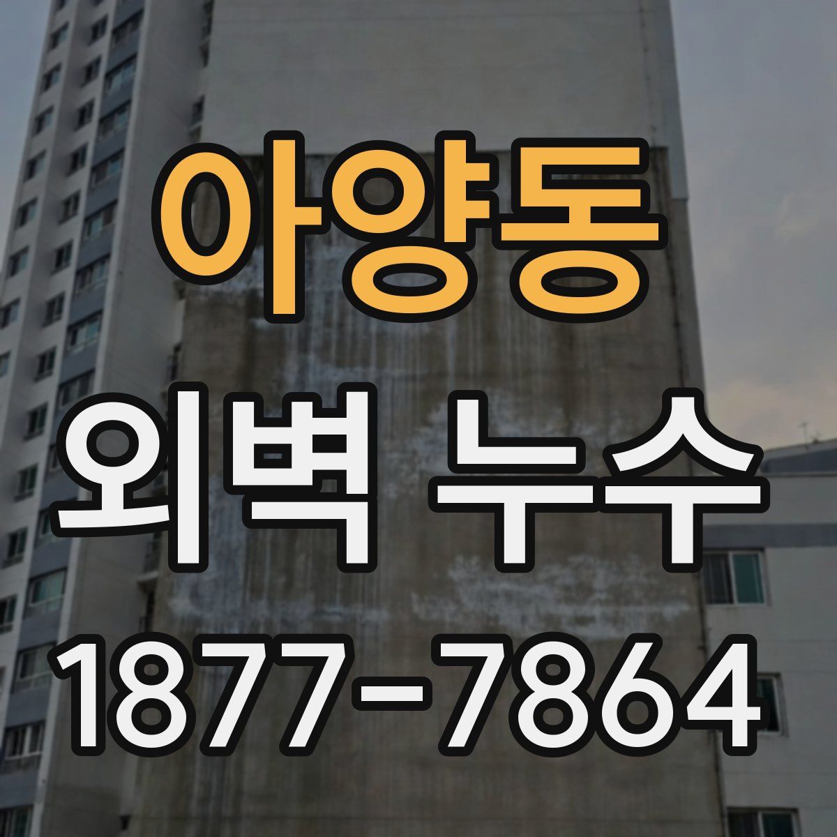 아양동 외벽 누수