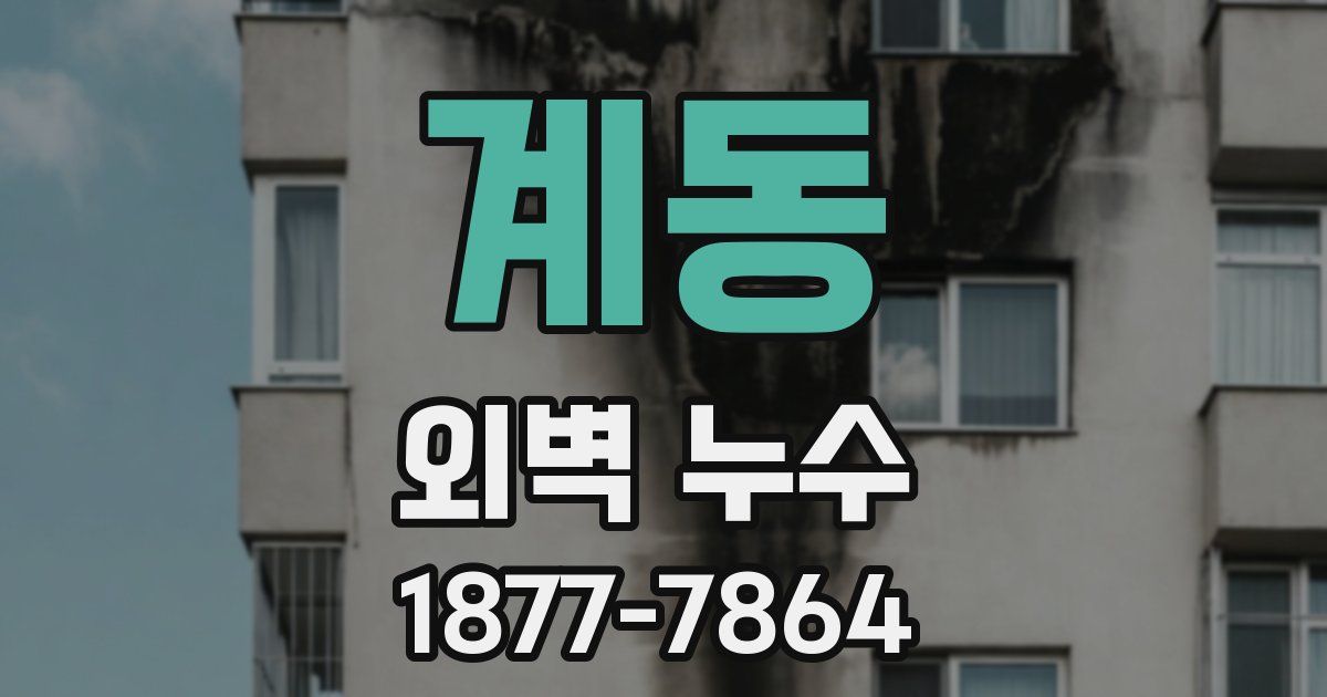 계동 외벽 누수
