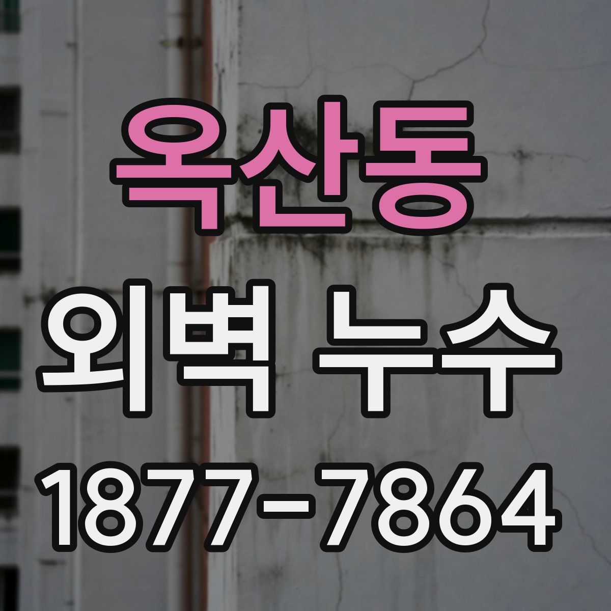 옥산동 외벽 누수