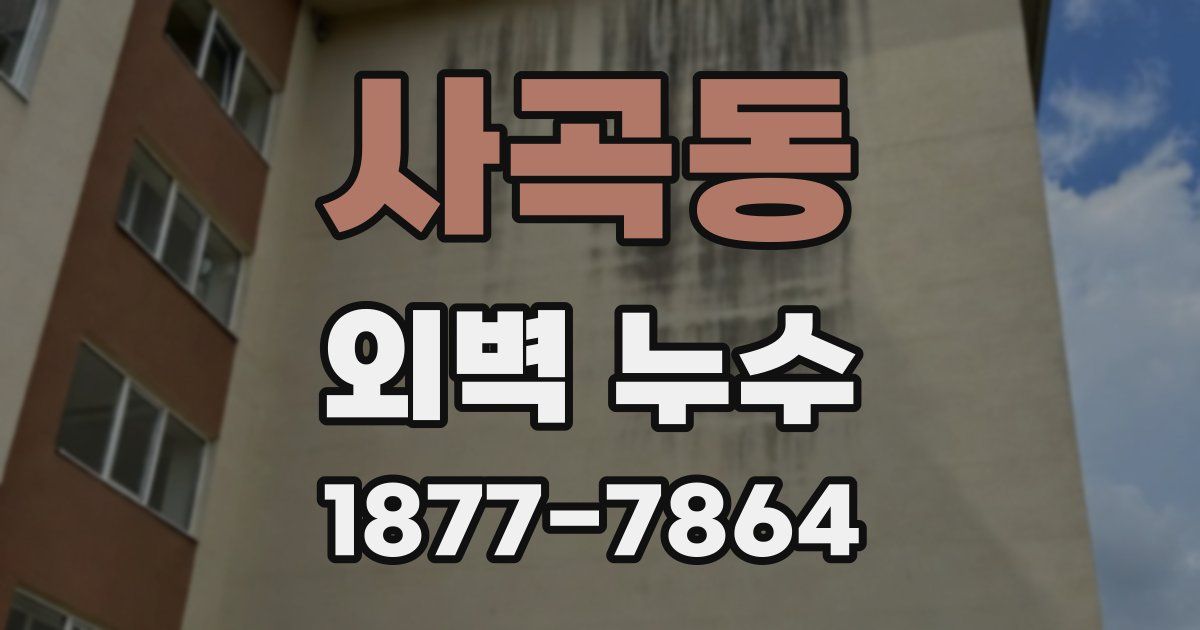 사곡동 외벽 누수