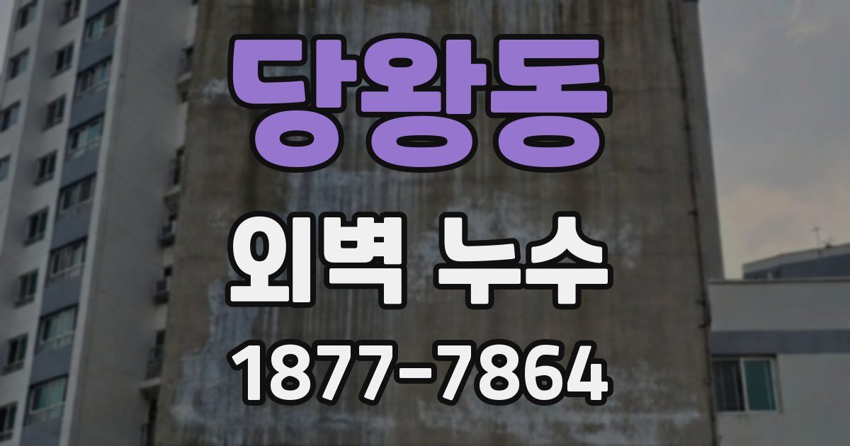 당왕동 외벽 누수