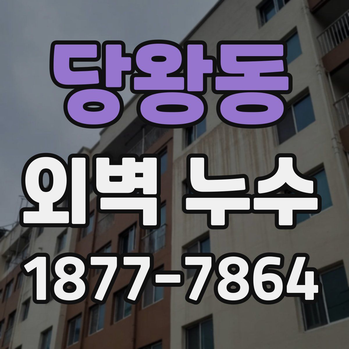 당왕동 외벽 누수