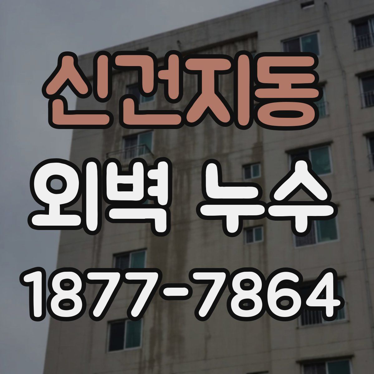 신건지동 외벽 누수