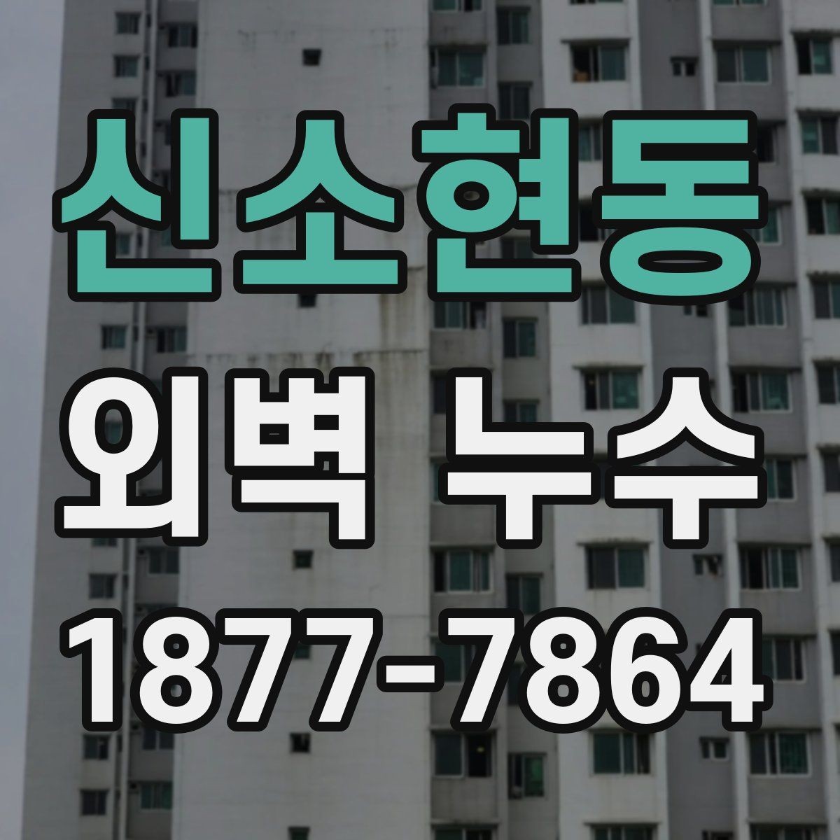 신소현동 외벽 누수 확인이 늦어지는 이유