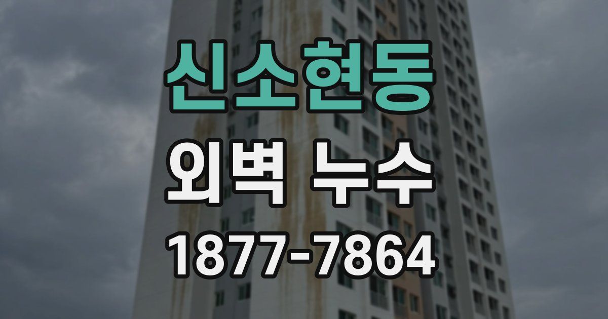 신소현동 외벽 누수