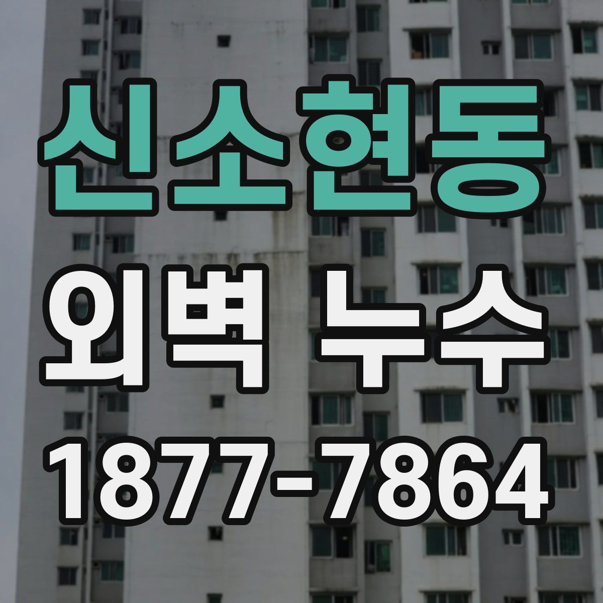 신소현동 외벽 누수