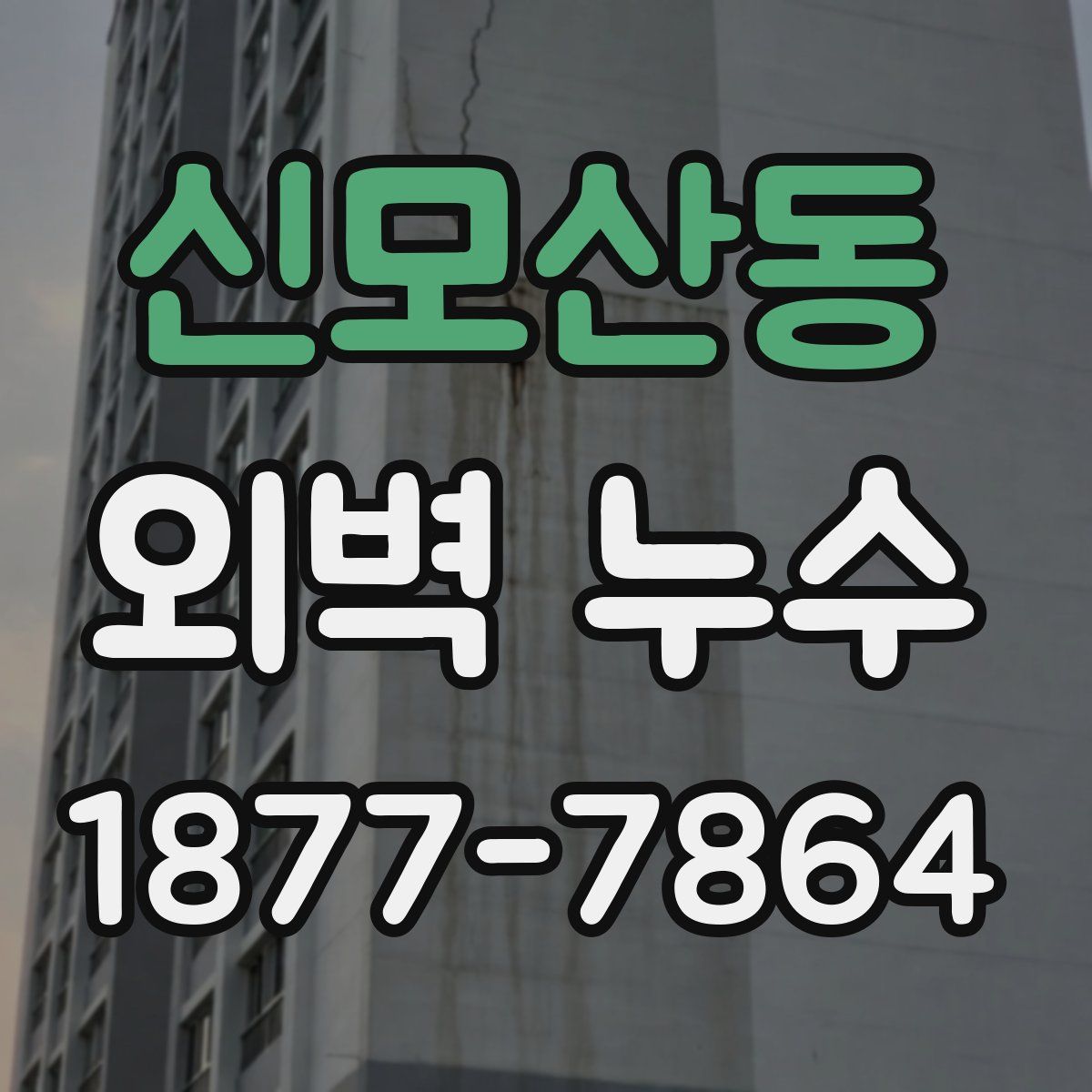신모산동 외벽 누수