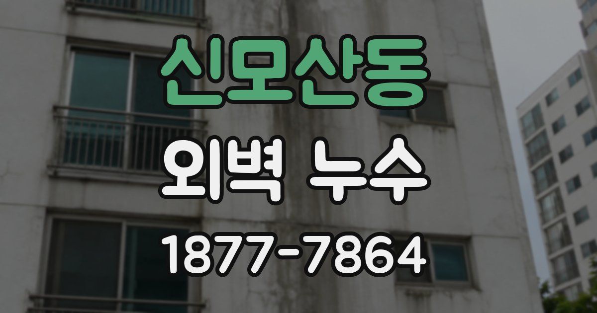 신모산동 외벽 누수