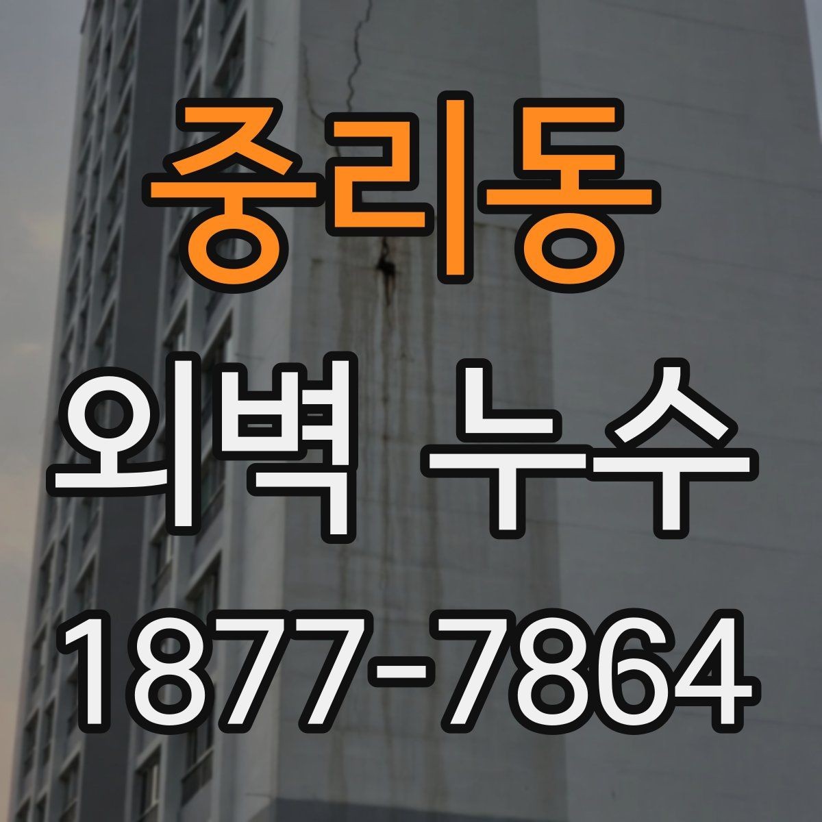 중리동 외벽 누수 원인별 대응 방식