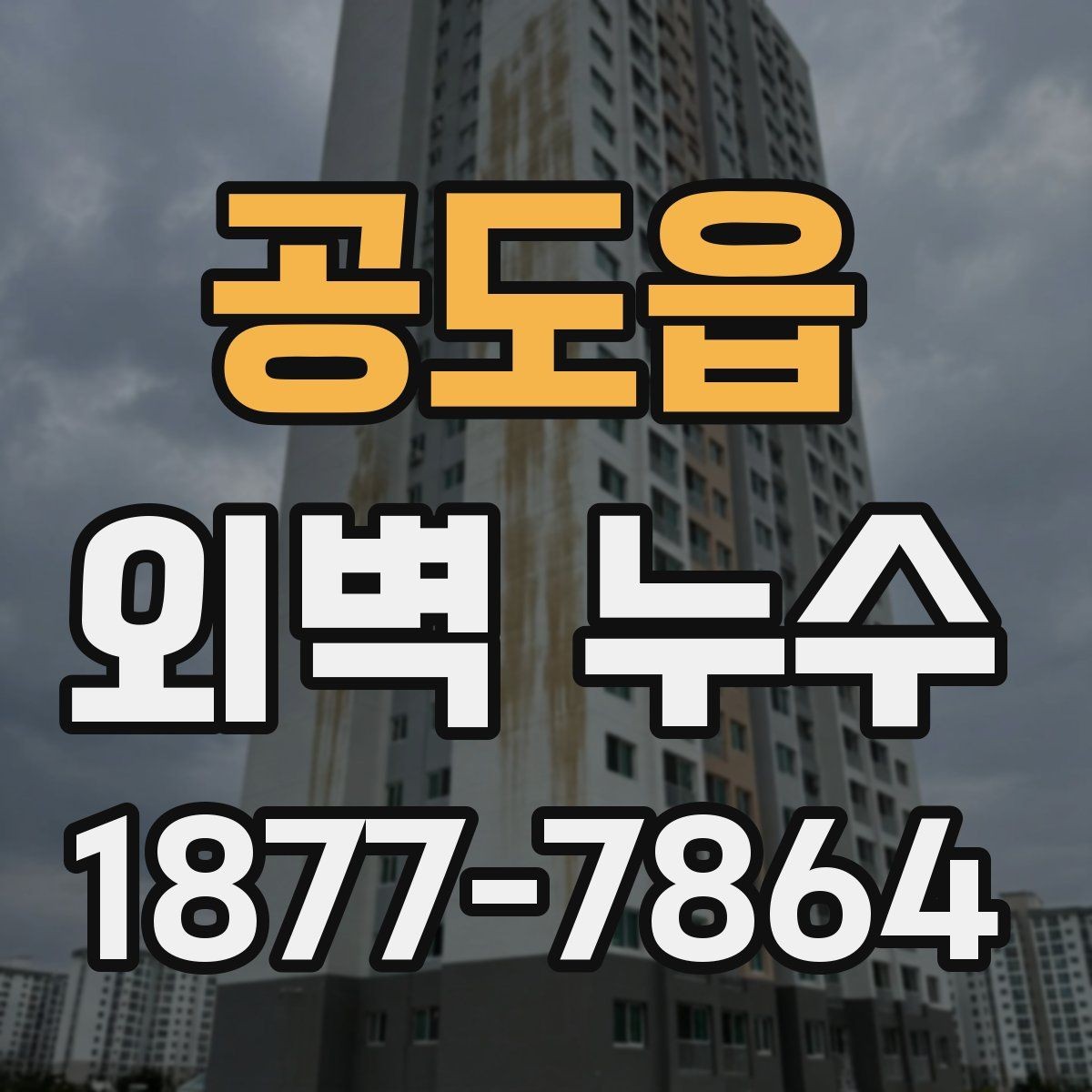 공도읍 외벽 누수 보수 사례에서 확인한 차이