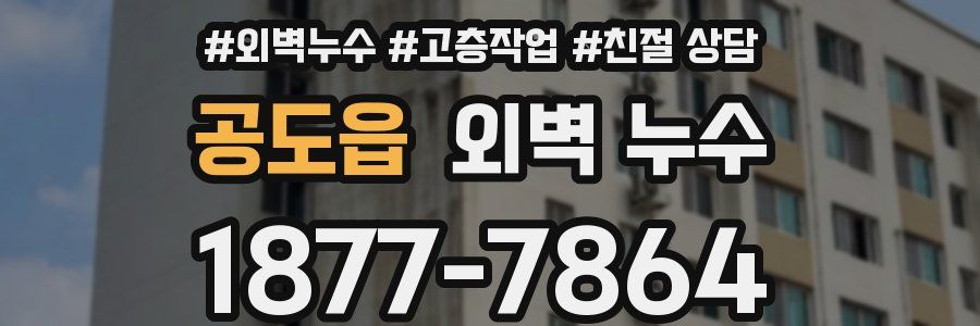 공도읍 외벽 누수