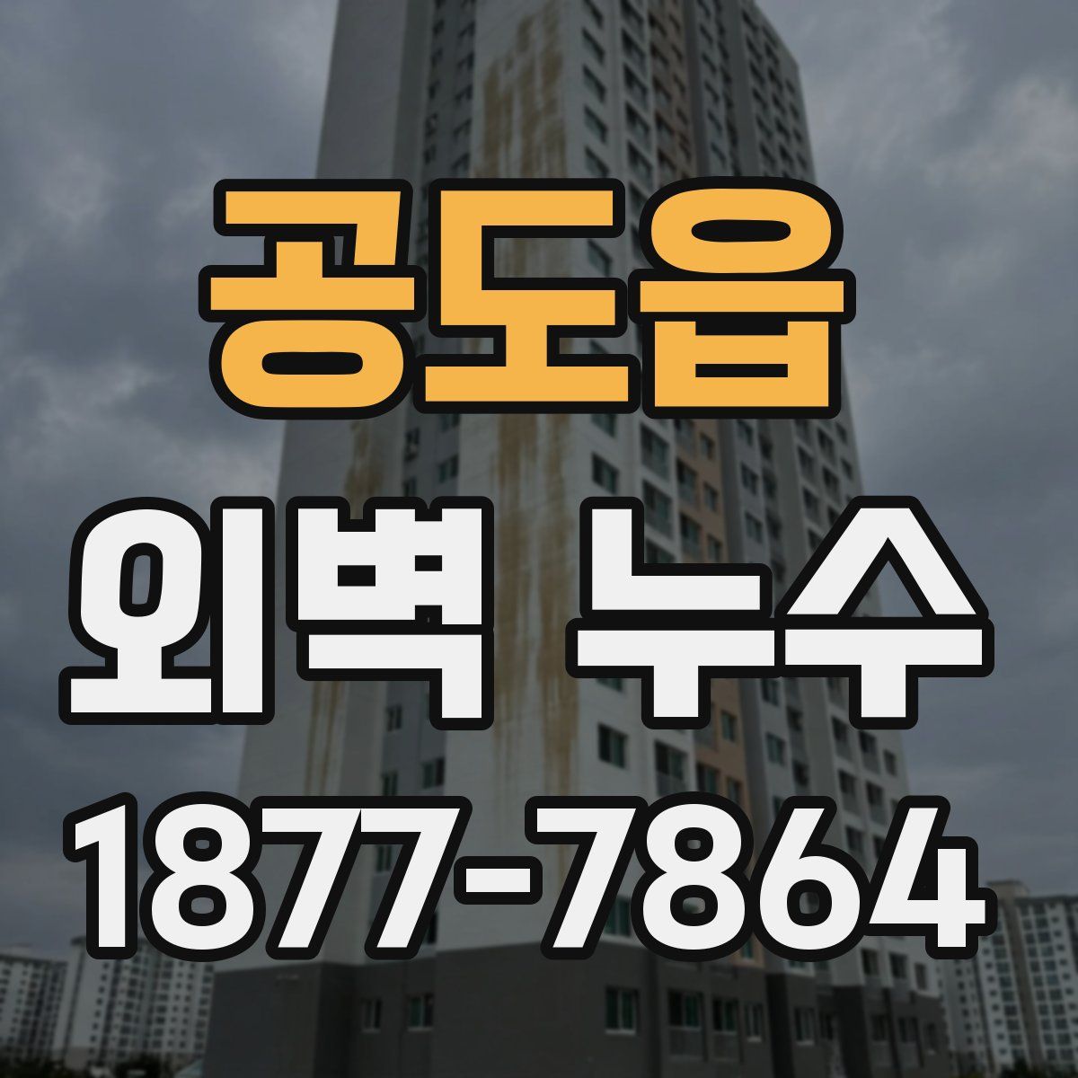 공도읍 외벽 누수