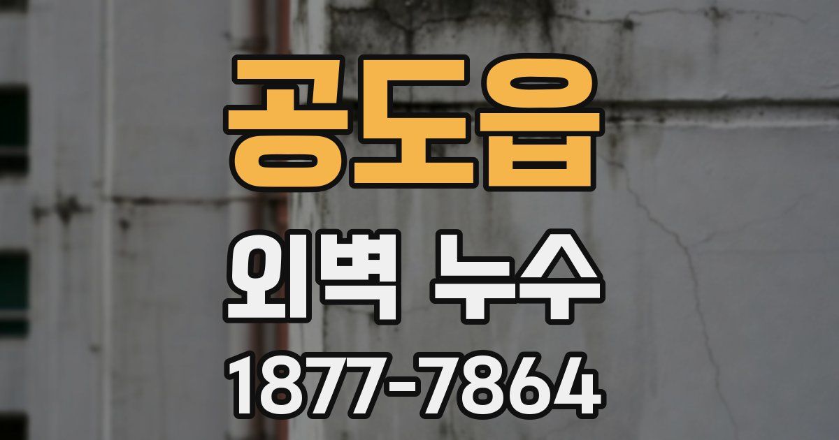 공도읍 외벽 누수