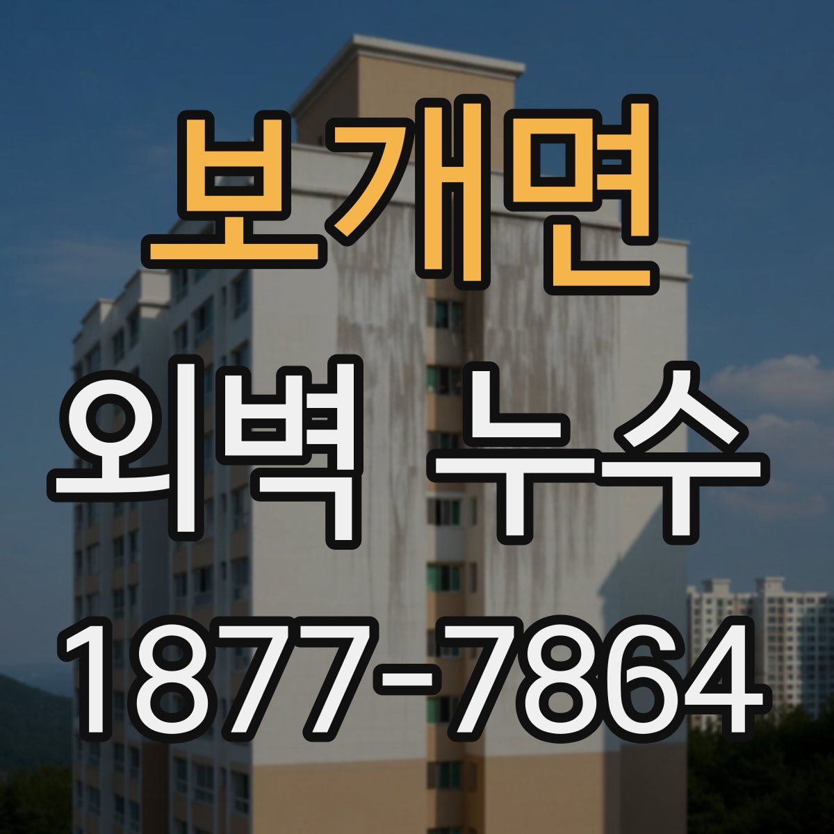 보개면 외벽 누수