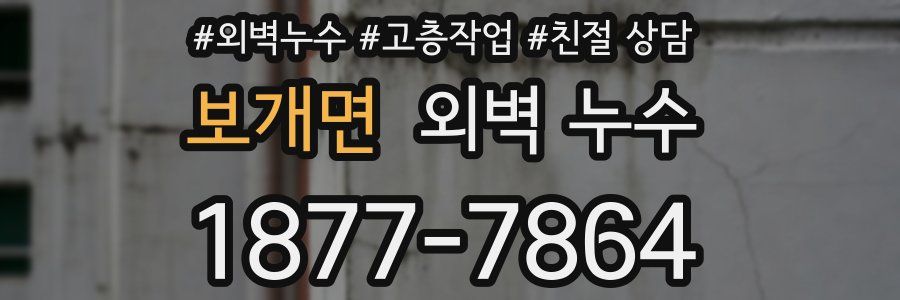 보개면 외벽 누수