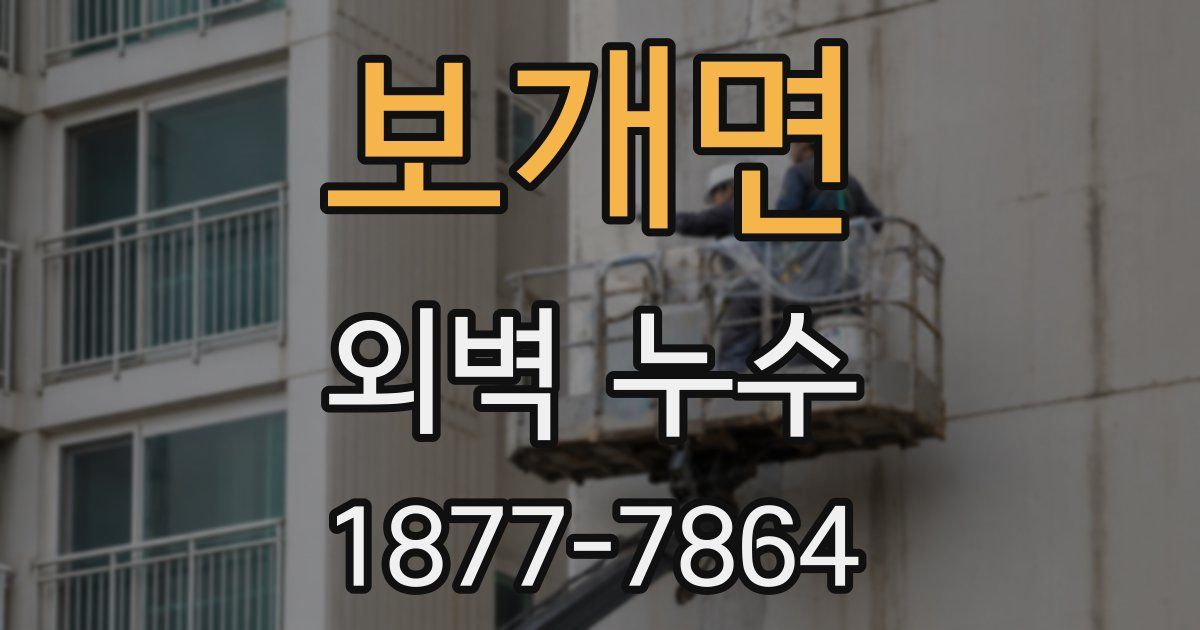 보개면 외벽 누수