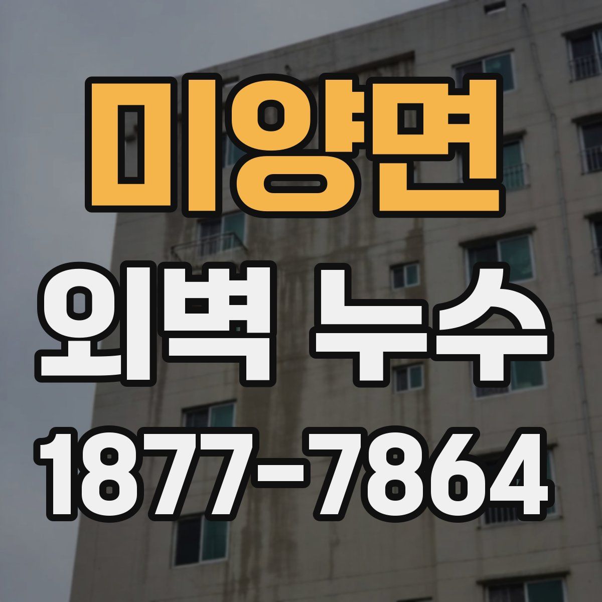 미양면 외벽 누수