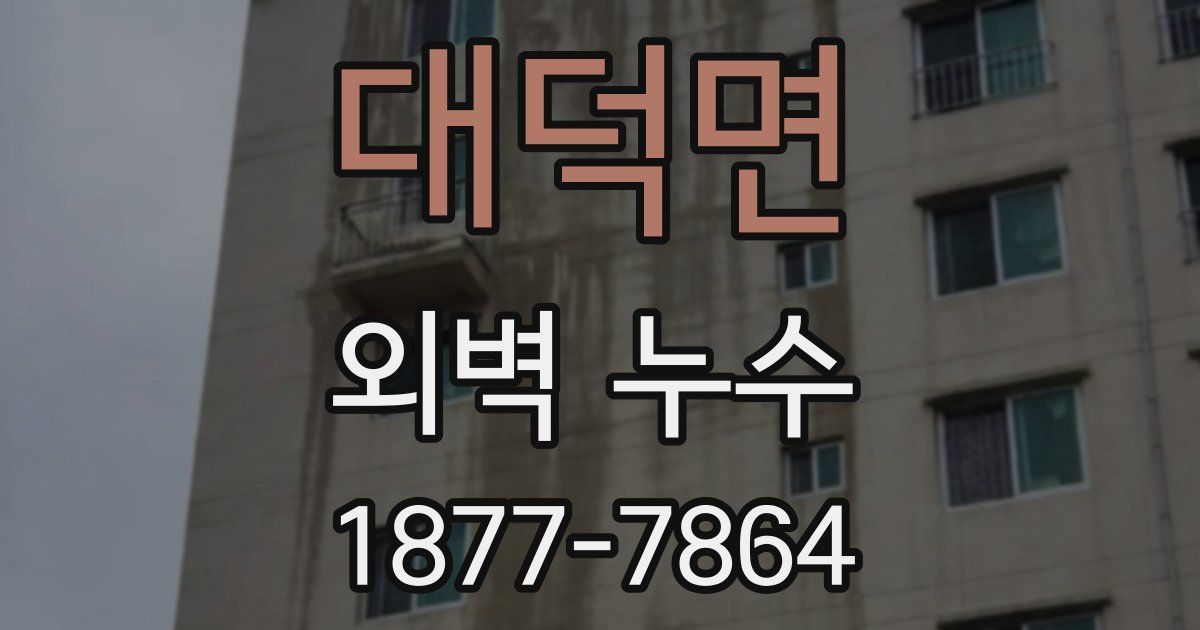 대덕면 외벽 누수