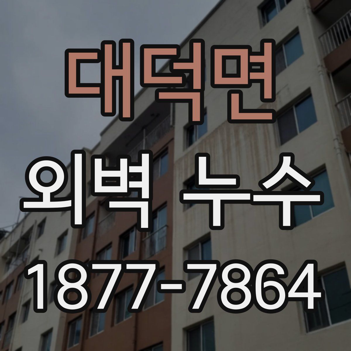 대덕면 외벽 누수