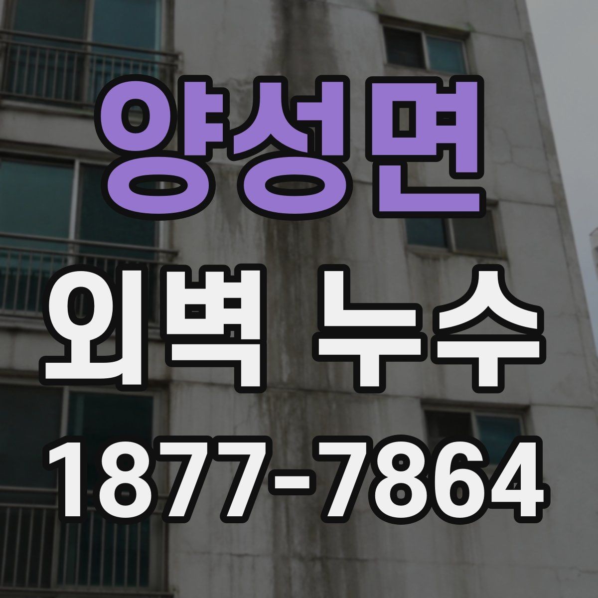 양성면 외벽 누수 확인 후 보험과 보상 살펴보기