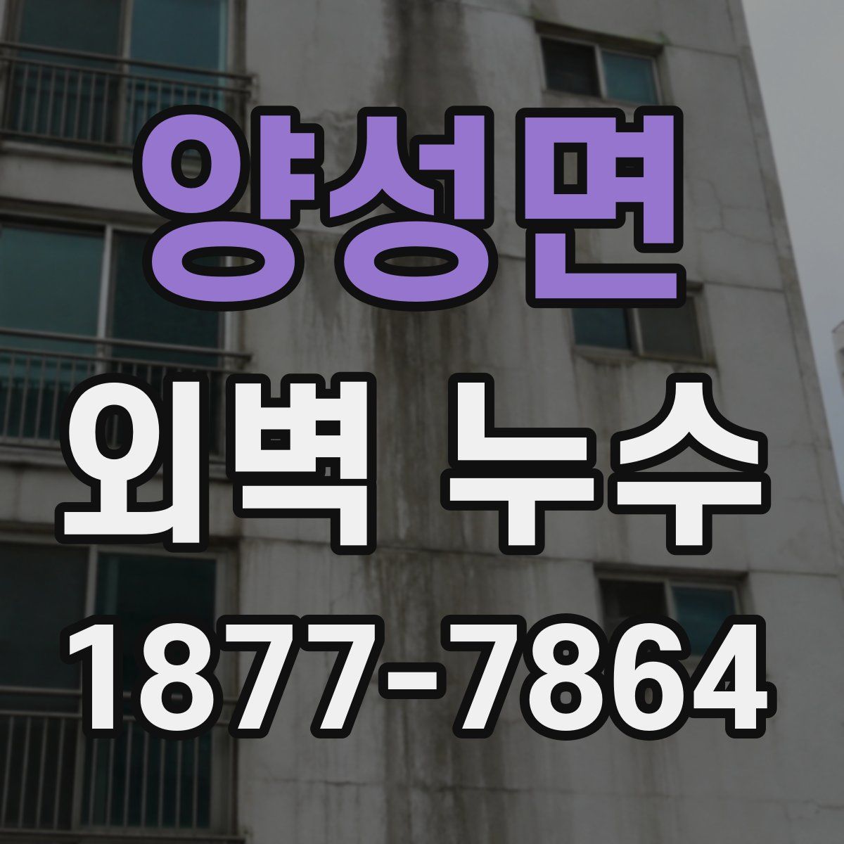 양성면 외벽 누수