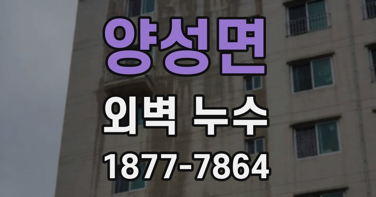 양성면 외벽 누수