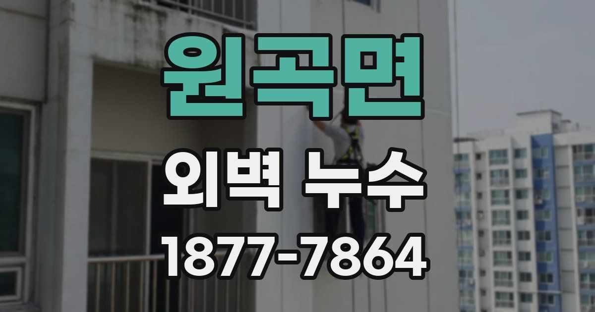 원곡면 외벽 누수