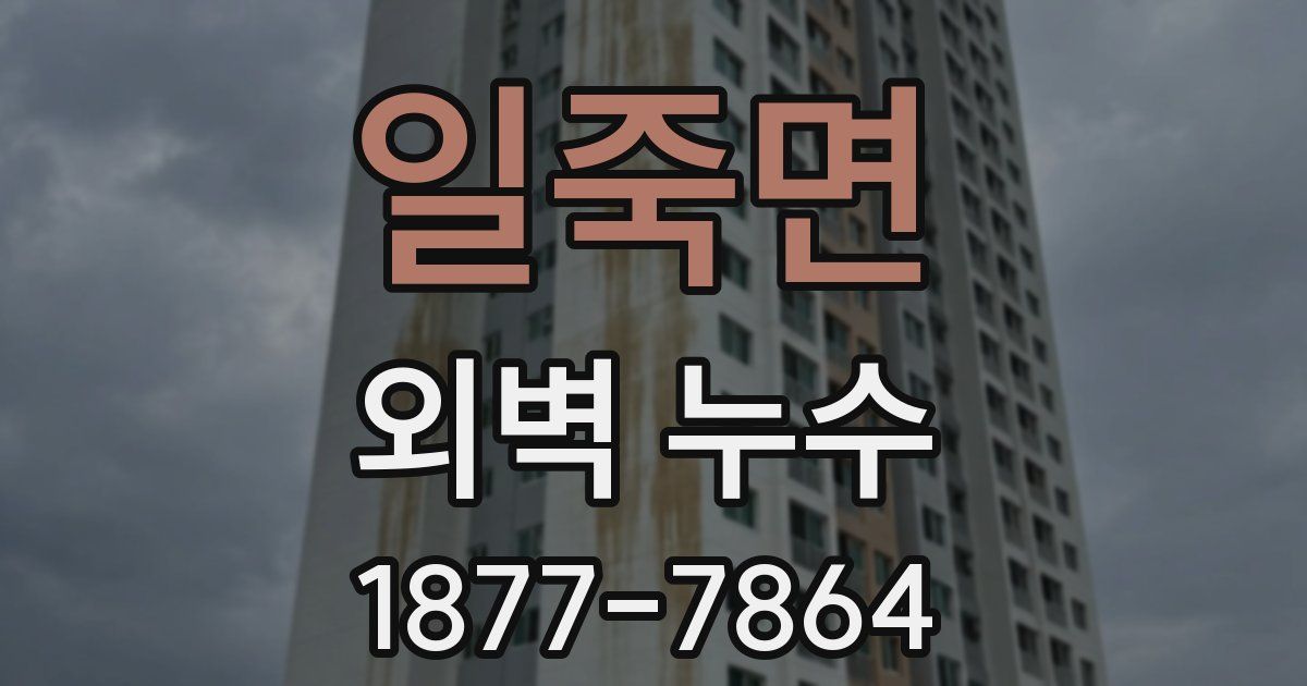 일죽면 외벽 누수