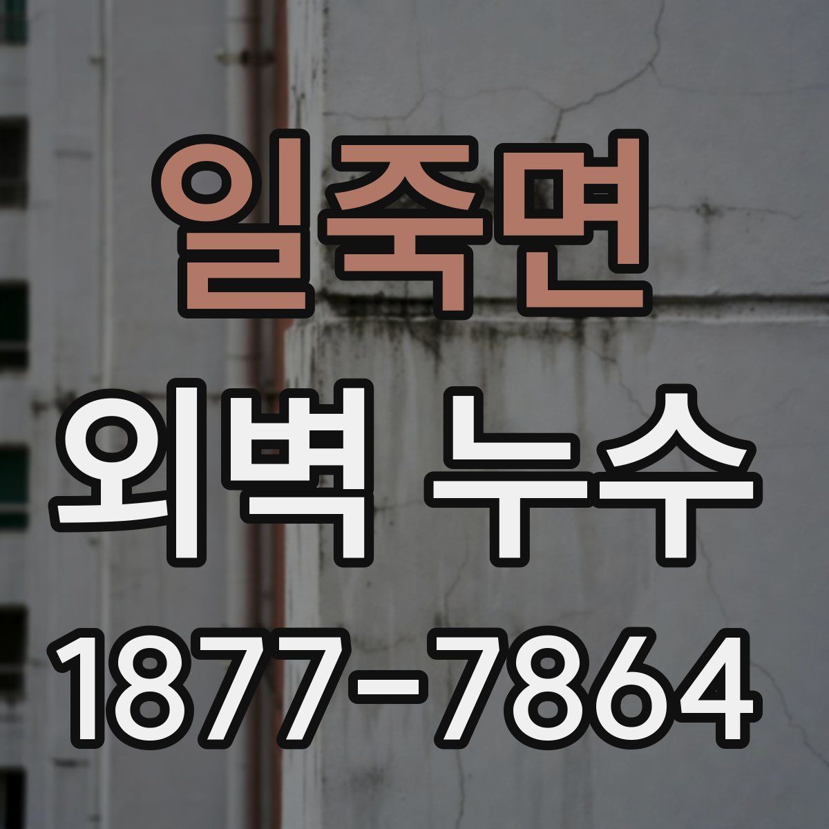 일죽면 외벽 누수