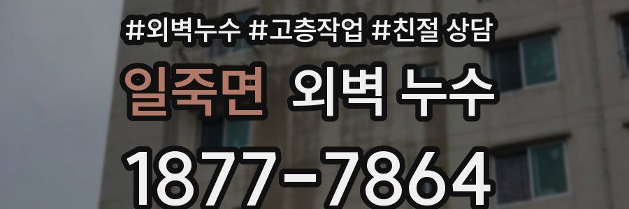 일죽면 외벽 누수