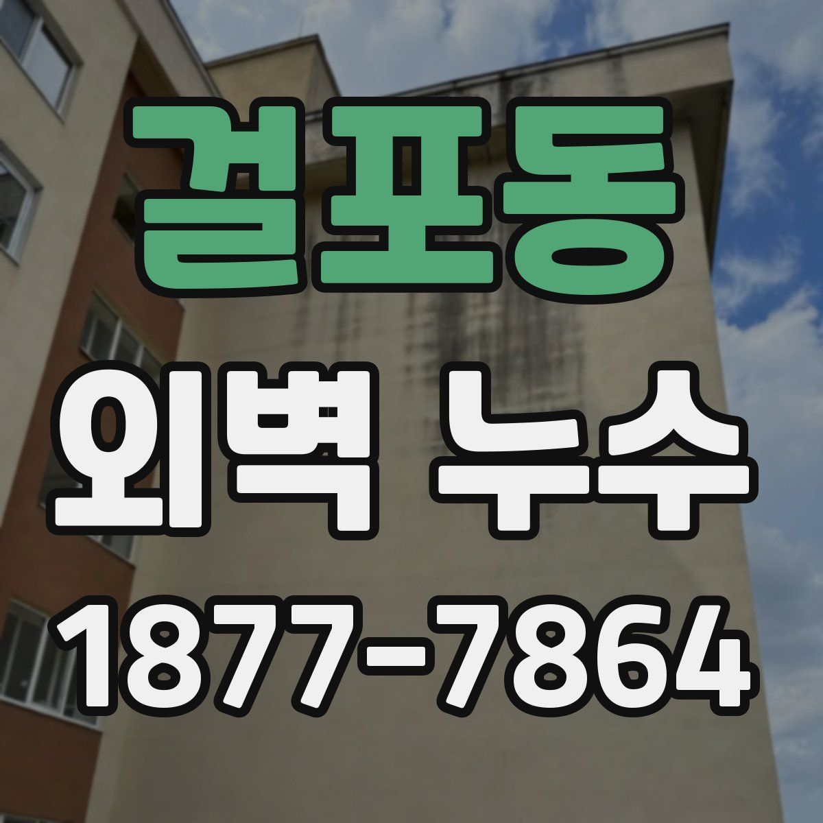 걸포동 외벽 누수