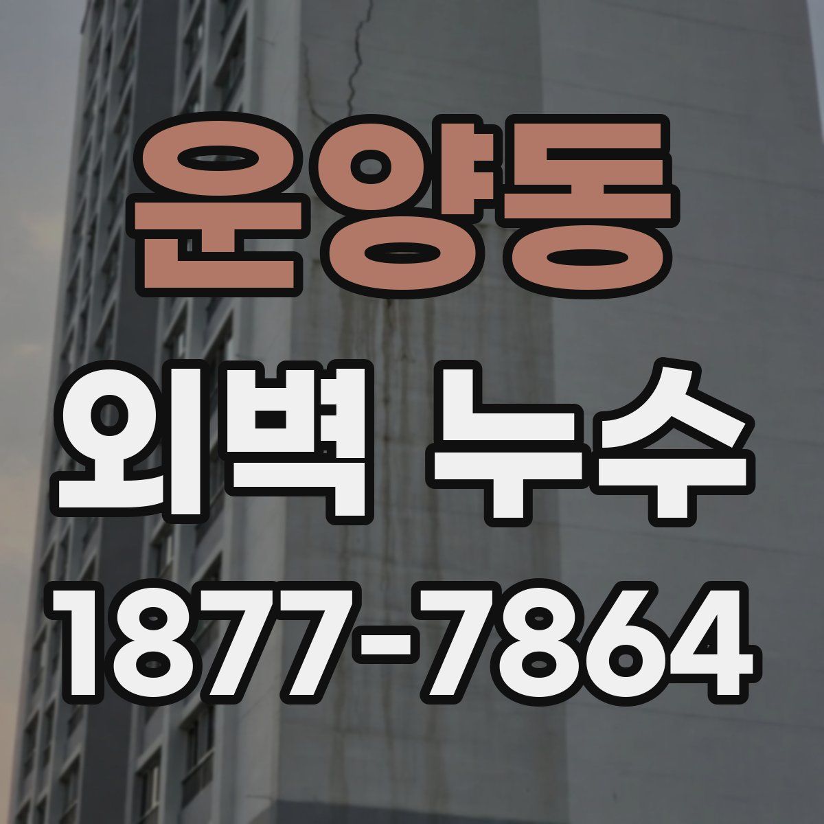 운양동 외벽 누수