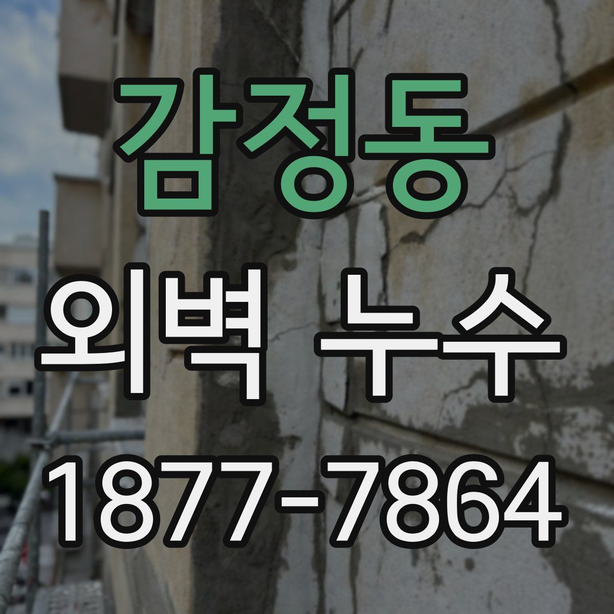 감정동 외벽 누수