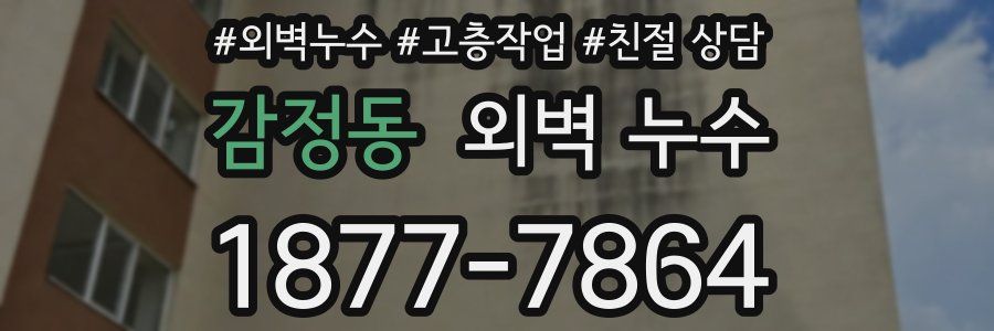 감정동 외벽 누수