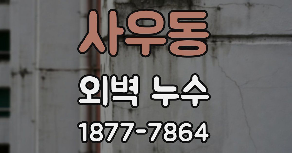 사우동 외벽 누수
