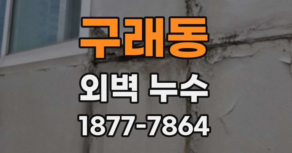 구래동 외벽 누수