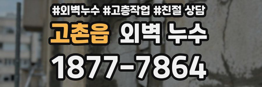 고촌읍 외벽 누수