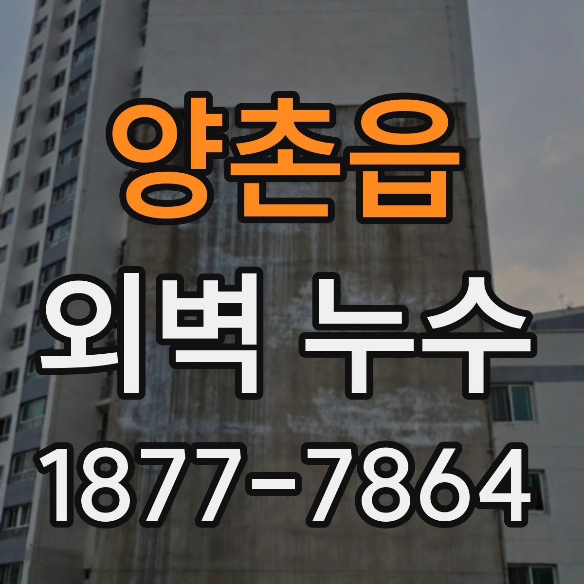 양촌읍 외벽 누수 원인에 따라 달라지는 해결 방식