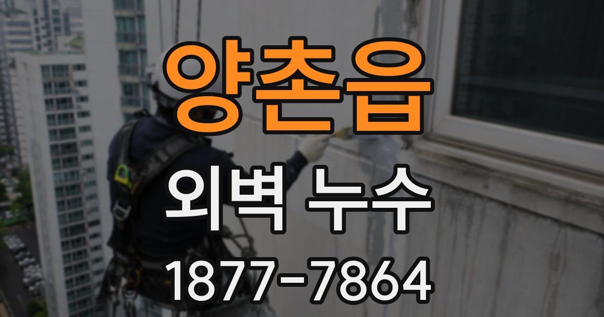 양촌읍 외벽 누수