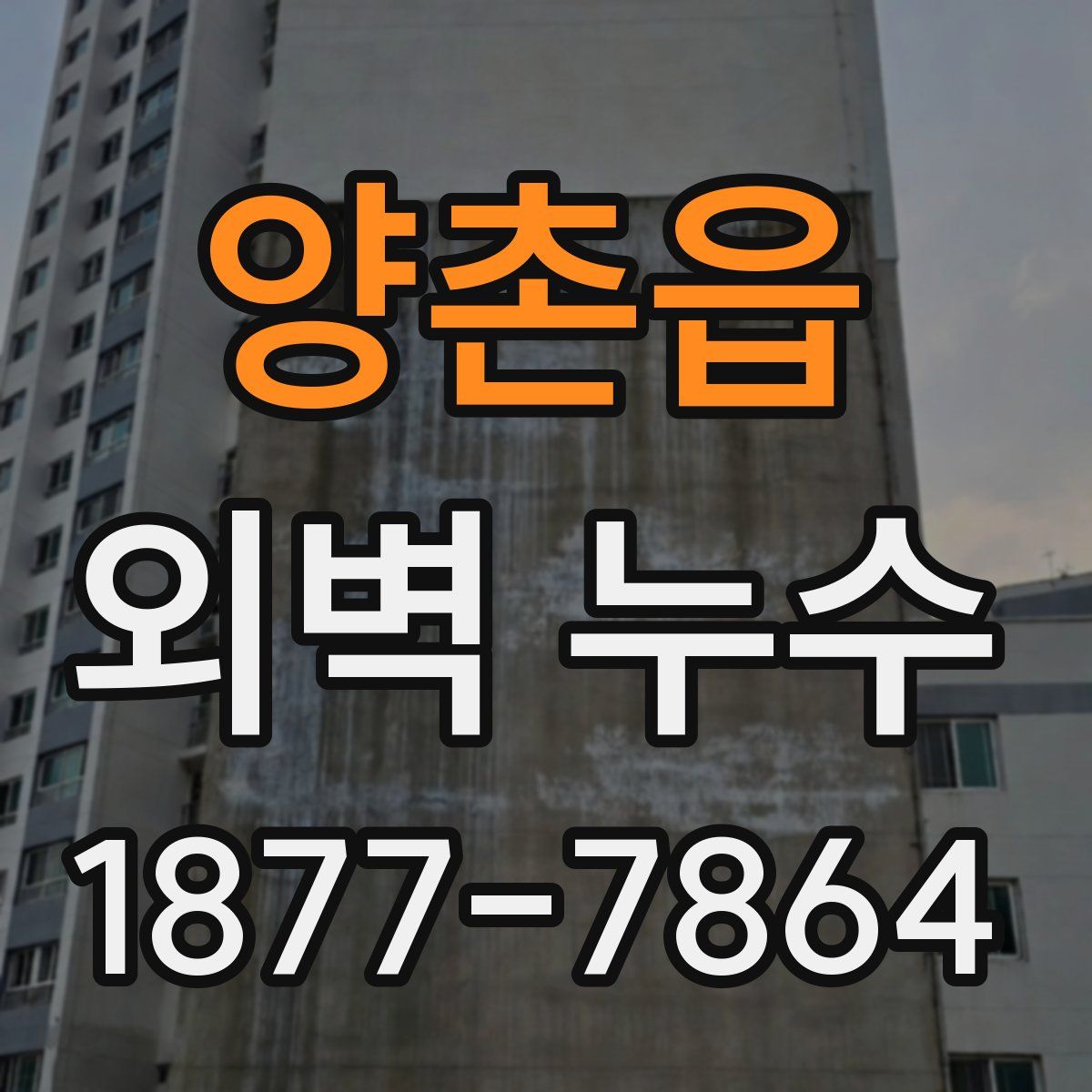 양촌읍 외벽 누수