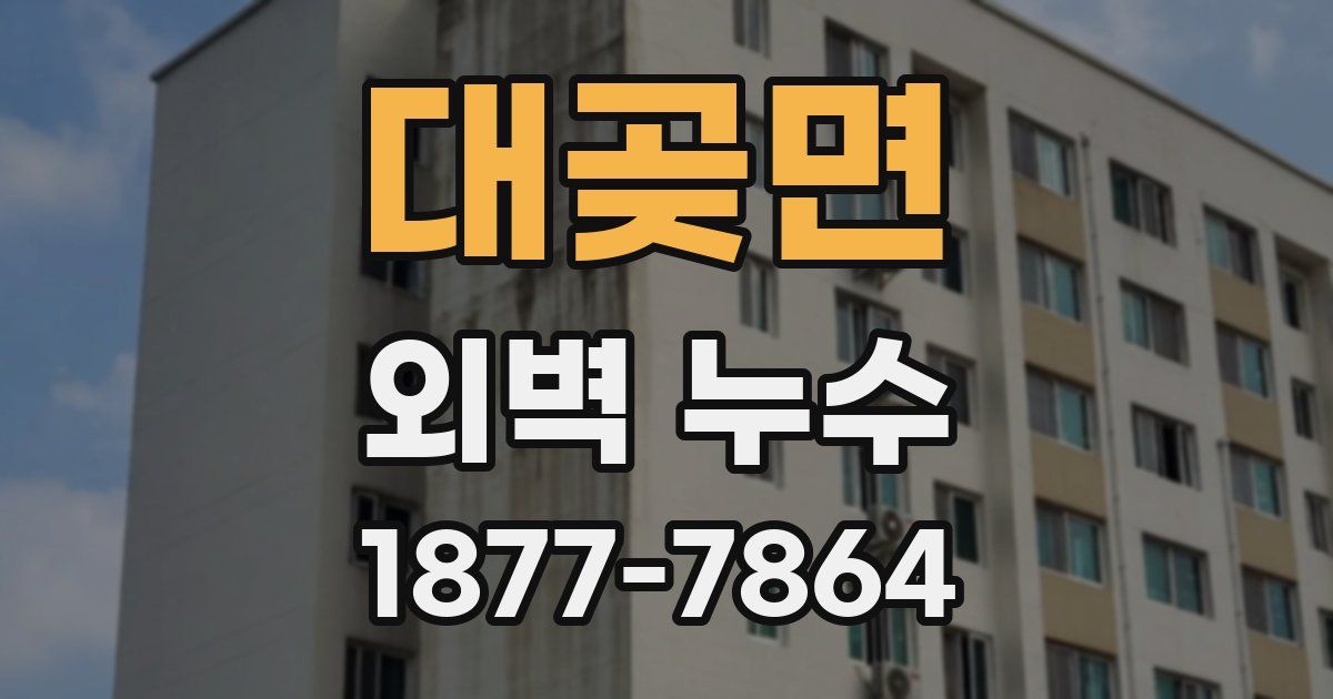 대곶면 외벽 누수