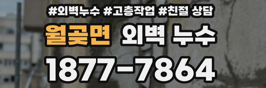 월곶면 외벽 누수