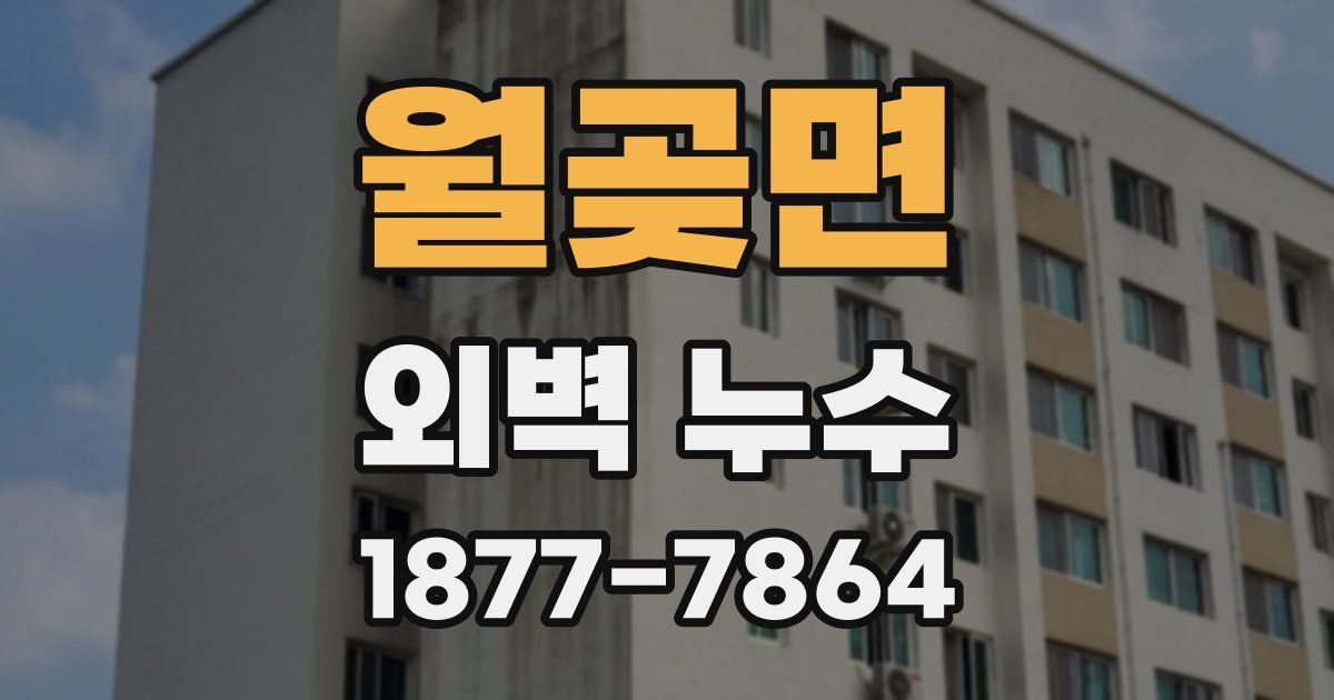 월곶면 외벽 누수