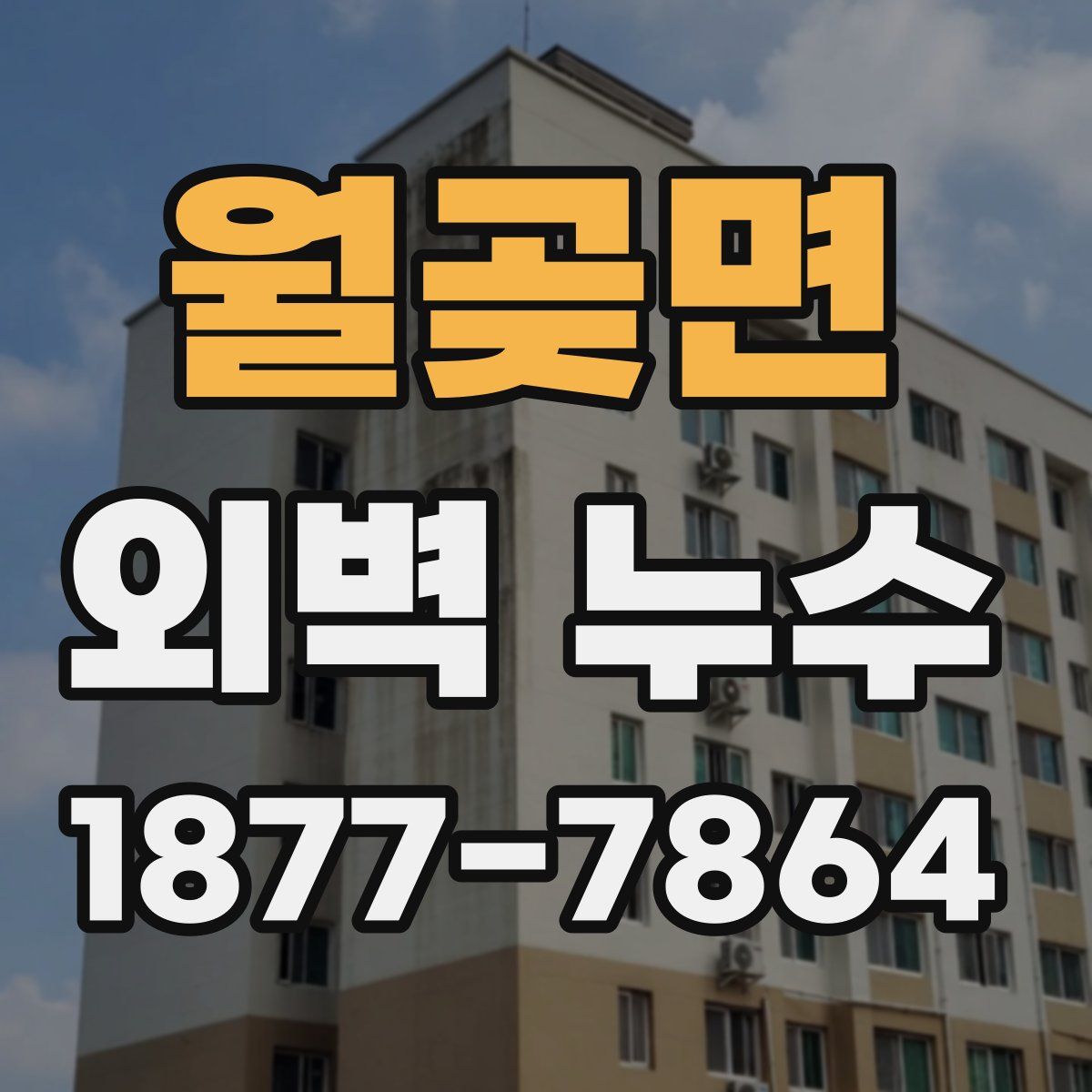 월곶면 외벽 누수