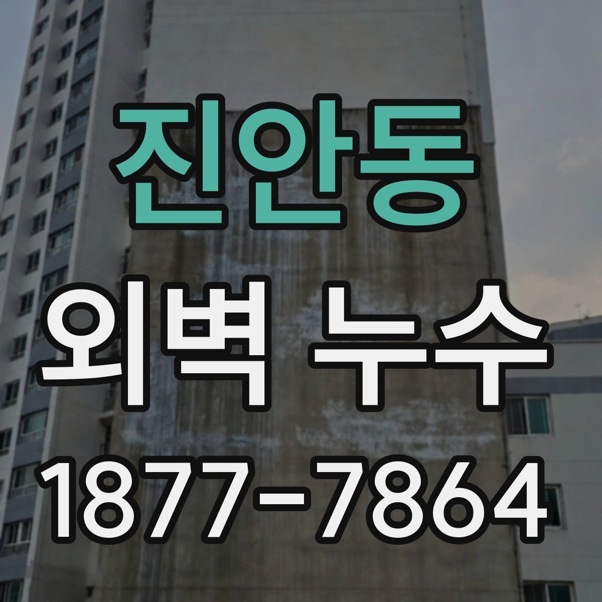 진안동 외벽 누수