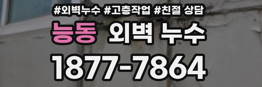 능동 외벽 누수