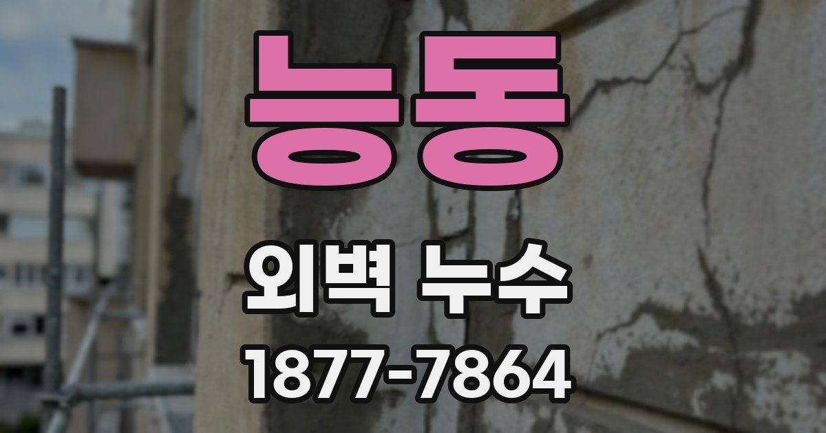 능동 외벽 누수
