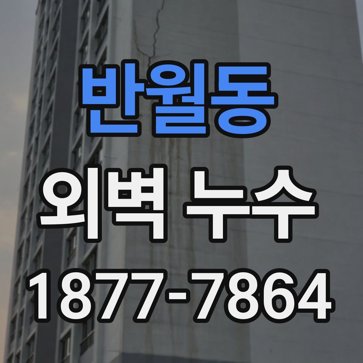 반월동 외벽 누수